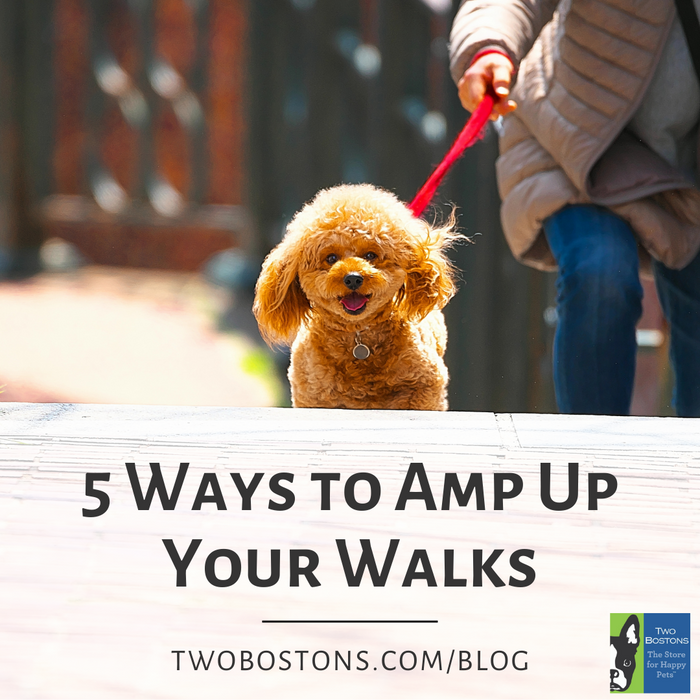 5 Ways to Amp Up Your Walks