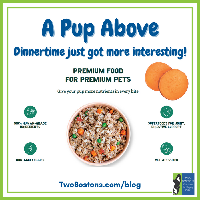 A Pup Above: Dinnertime just got more interesting!