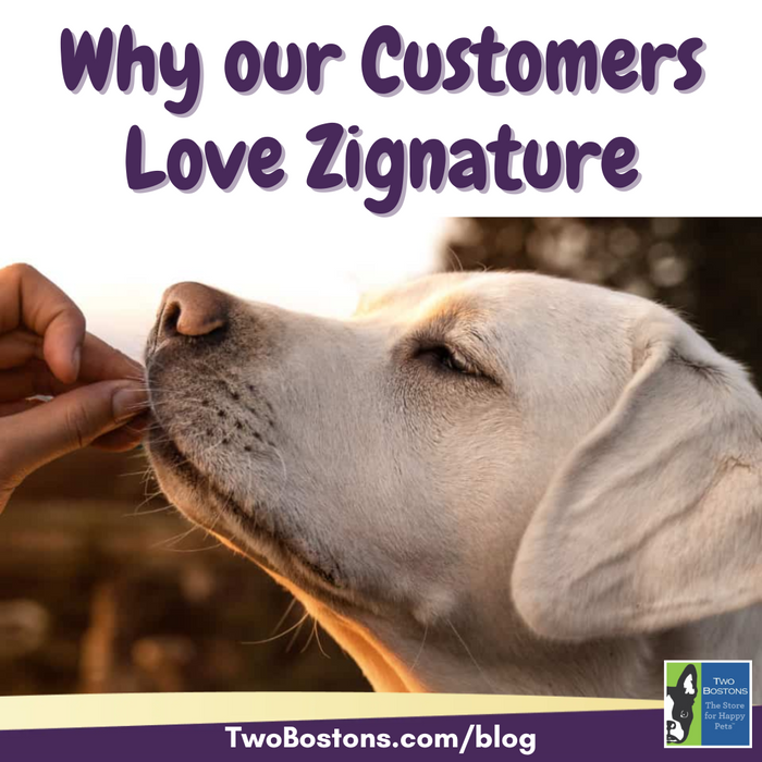 Why our Customers Love Zignature