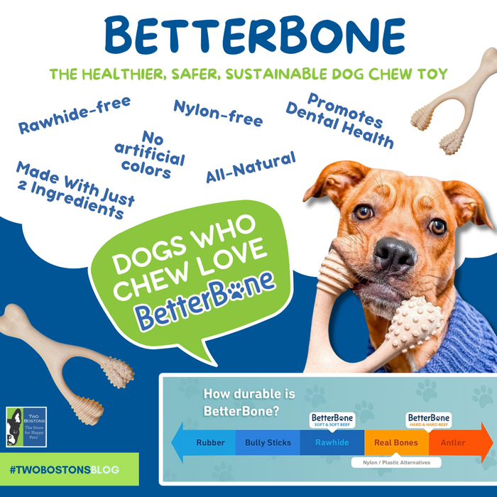 BetterBone: Better For Dogs, Better For The Environment!