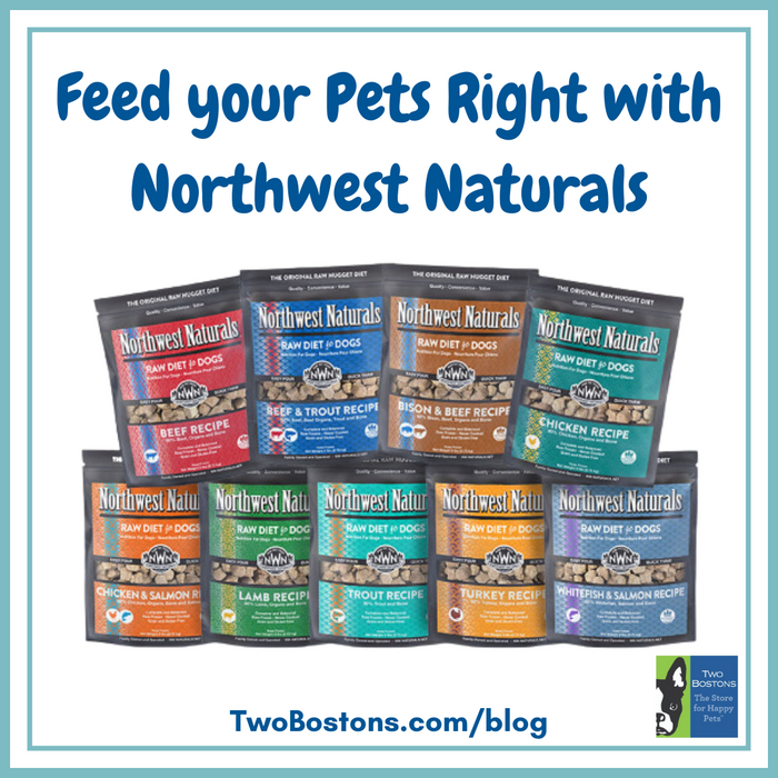 Feed your Pets Right with Northwest Naturals