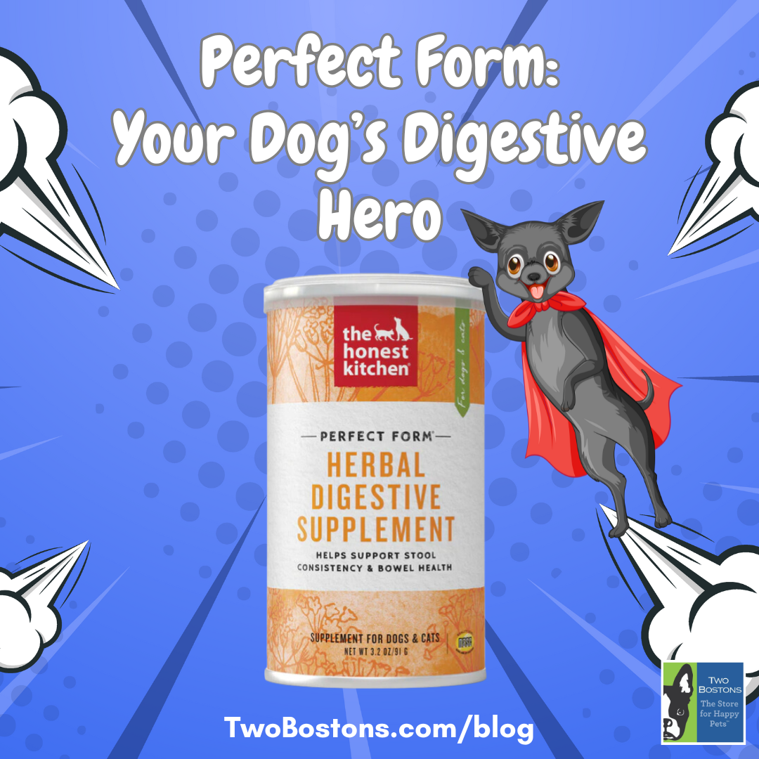 Perfect Form: Your Dog's Digestive Hero