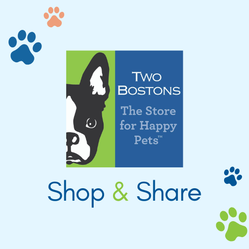 Shop & Share with Two Bostons
