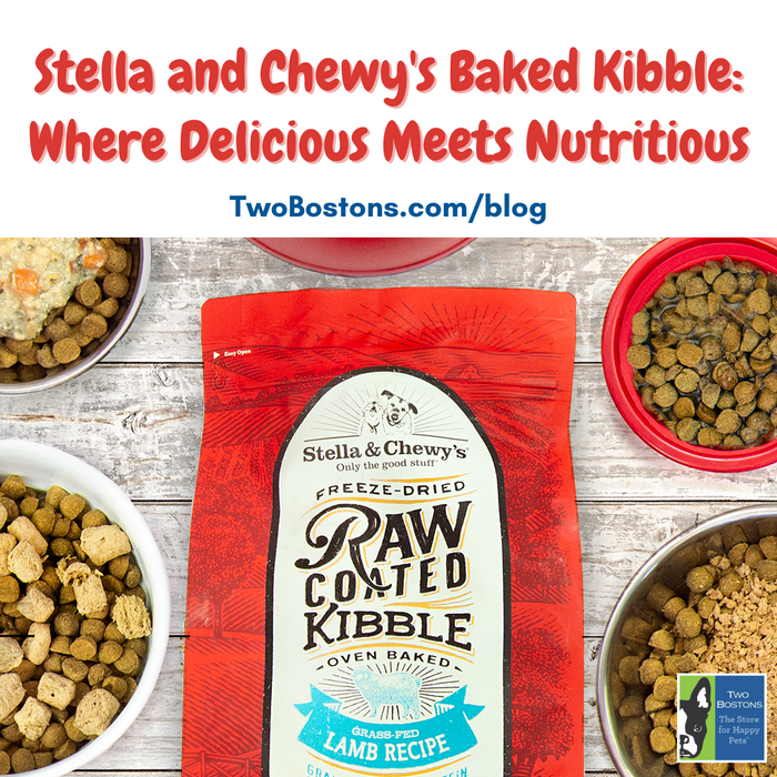 Stella and Chewy's Baked Kibble: Where Delicious Meets Nutritious