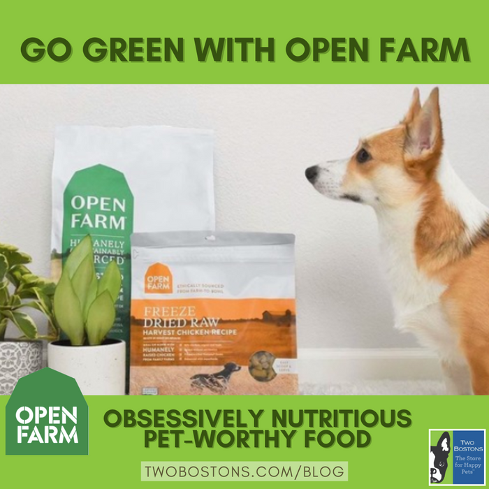 Go Green with Open Farm