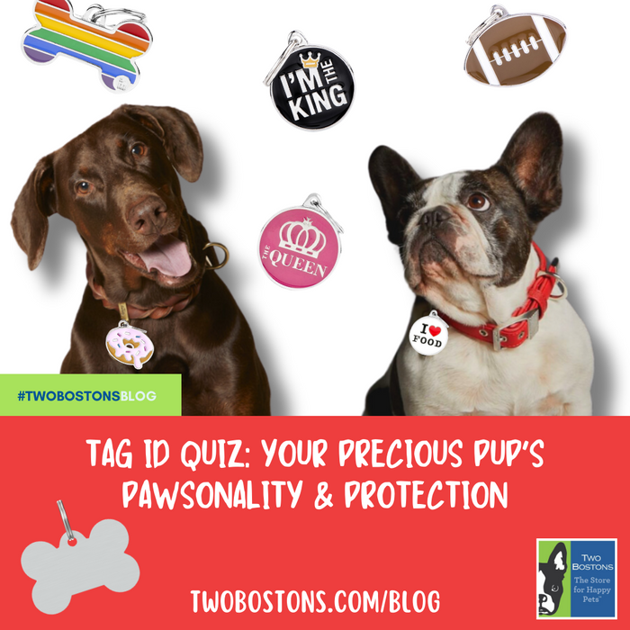 Tag ID Quiz- Your Precious Pup's Pawsonality and Protection