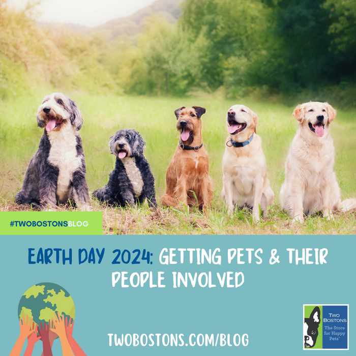 Earth Day 2024: Getting Pets And Their People Involved