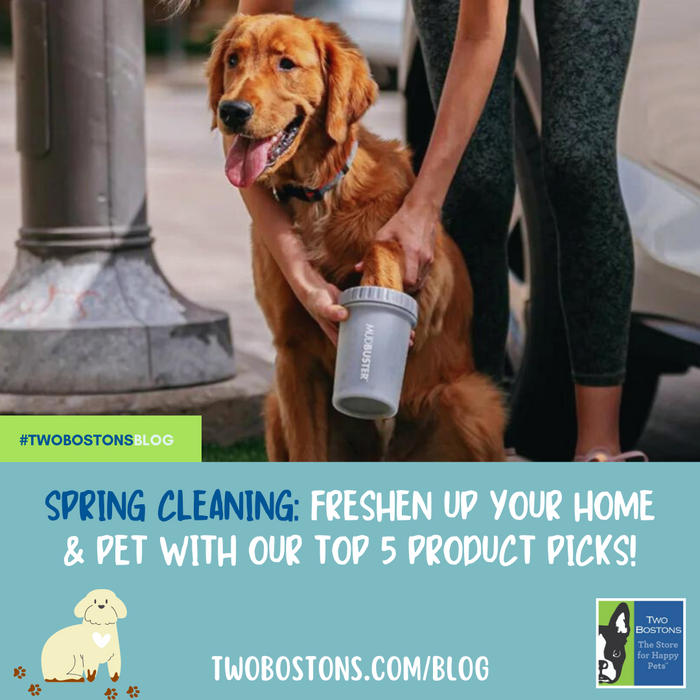 Spring Cleaning- Freshen Up Your Home and Your Pet with Our Top Five Product Picks!