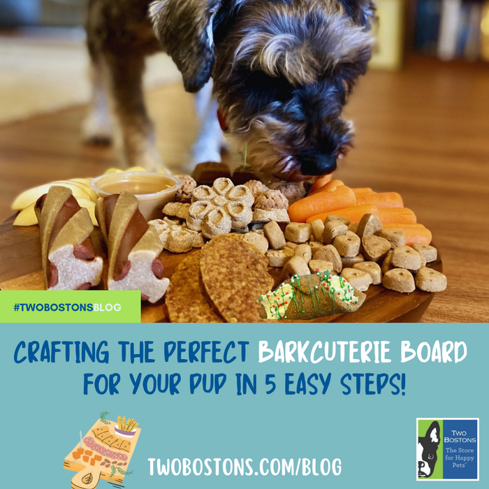 Crafting the Perfect Barkcuterie Board for Your Pup in 5 Easy Steps!