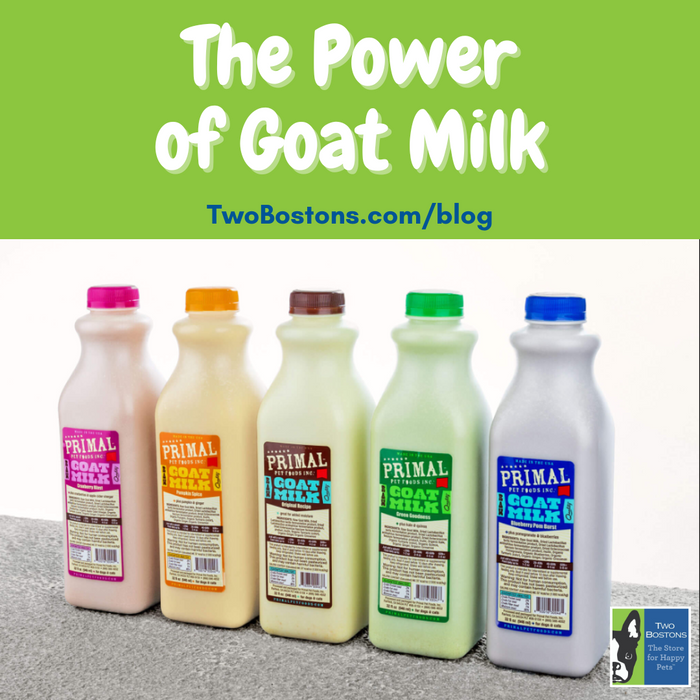 The Power of Goat Milk
