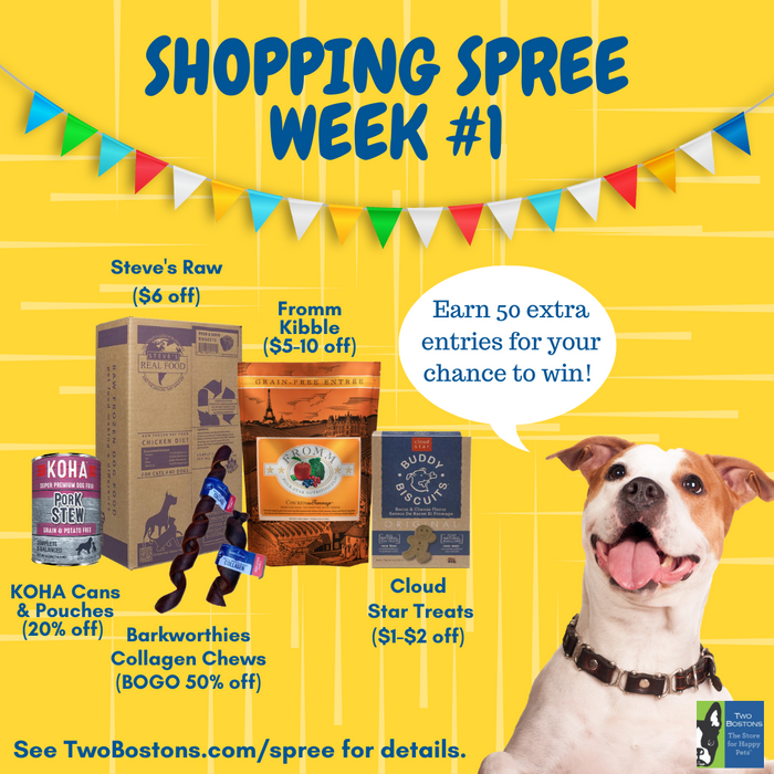 Shopping Spree - Week #1