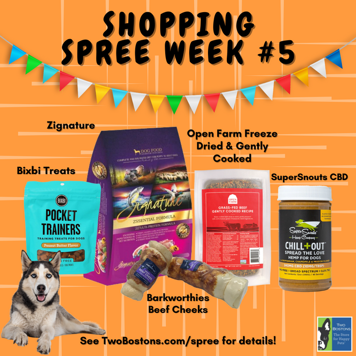 Shopping Spree - Week #5