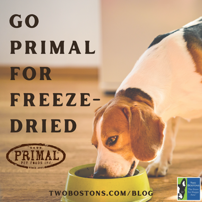 Go Primal for Freeze-Dried
