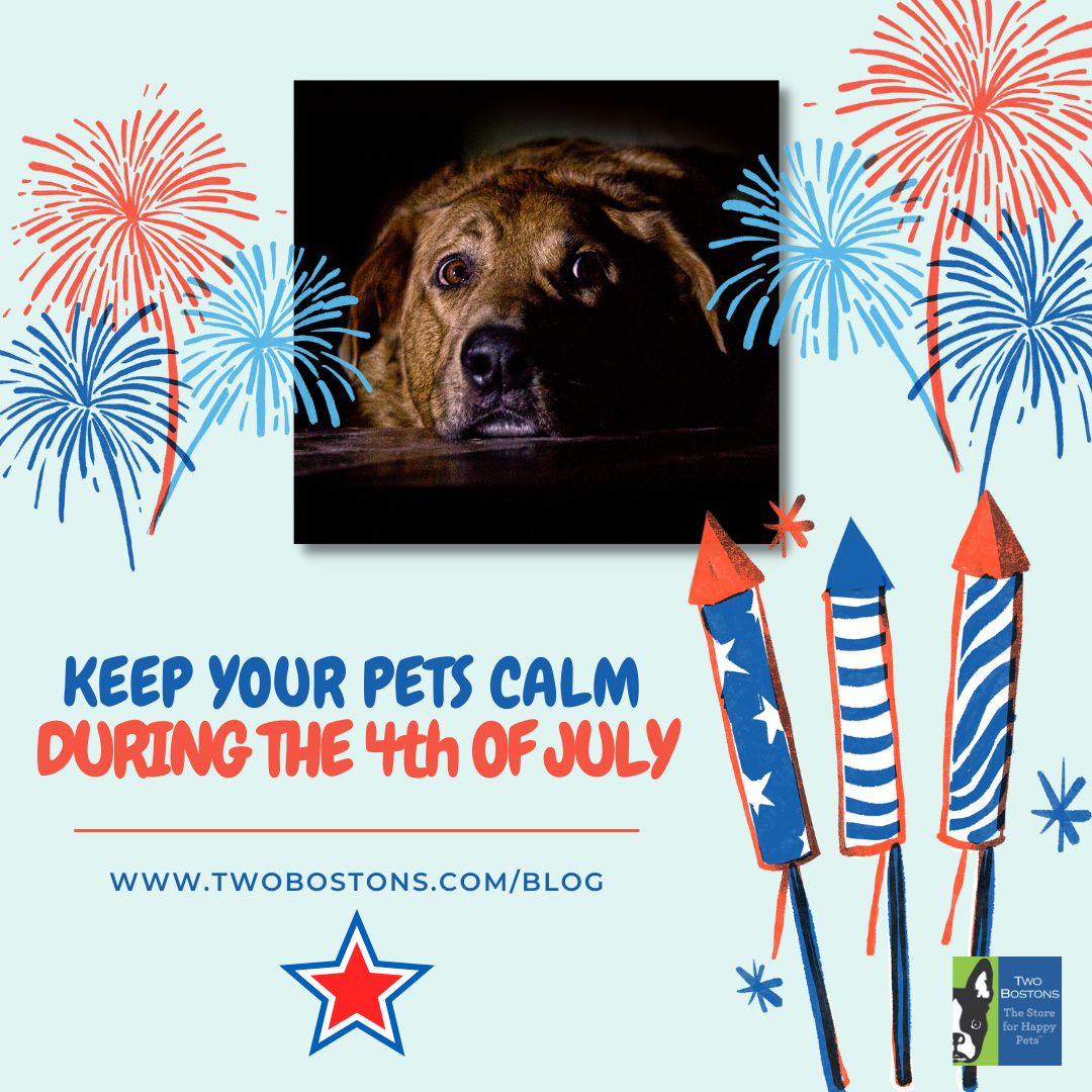 Keep Your Pets Calm During the Fourth of July