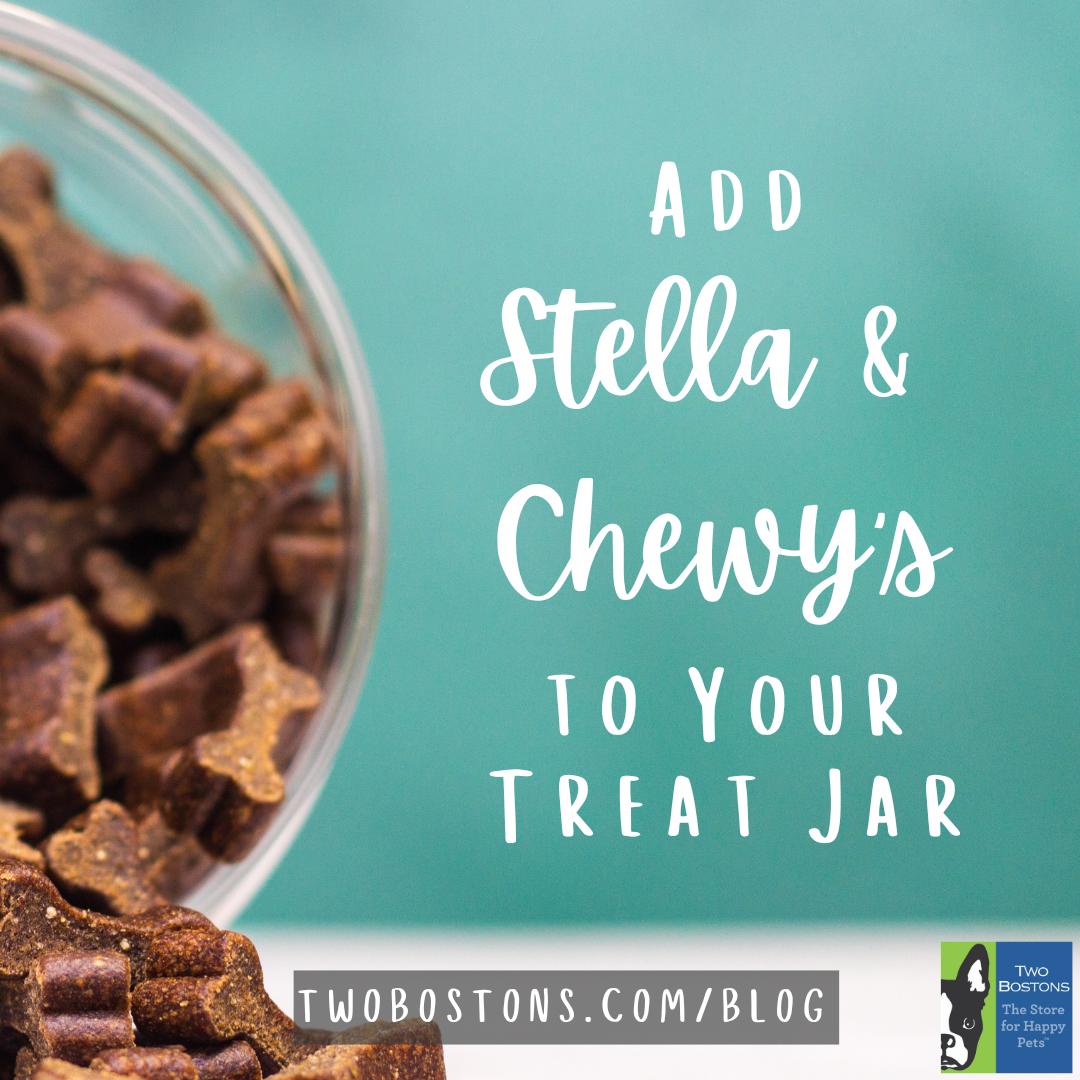 Add Stella & Chewy’s to Your Treat Jar
