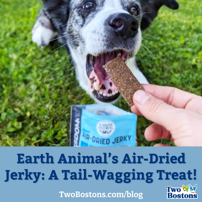 Earth Animal’s Wisdom Jerky: A Tail-Wagging Treat!