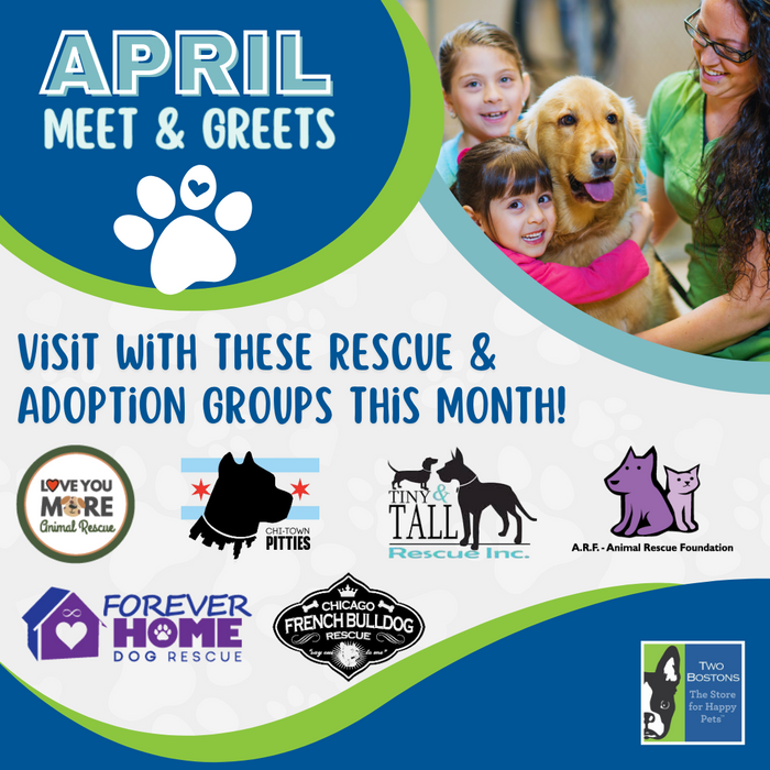April Meet & Greet Adoption Events