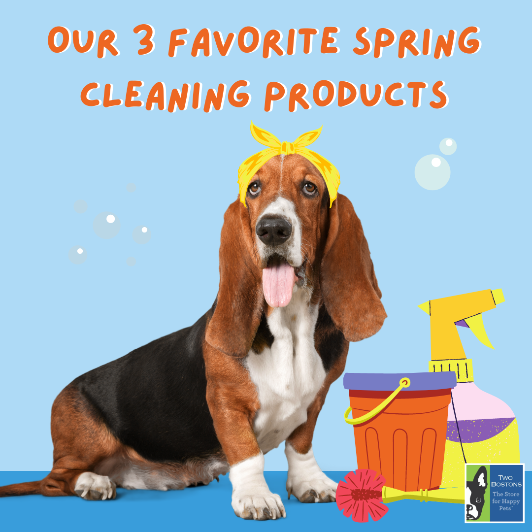 Our 3 Favorite Spring Cleaning Products