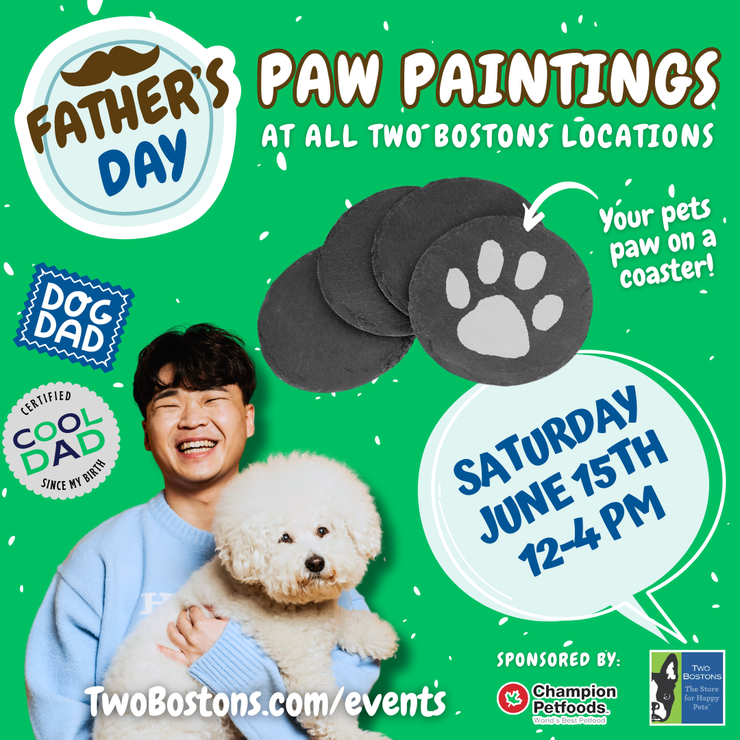 Father's Day Coaster Paw Paintings — Two Bostons