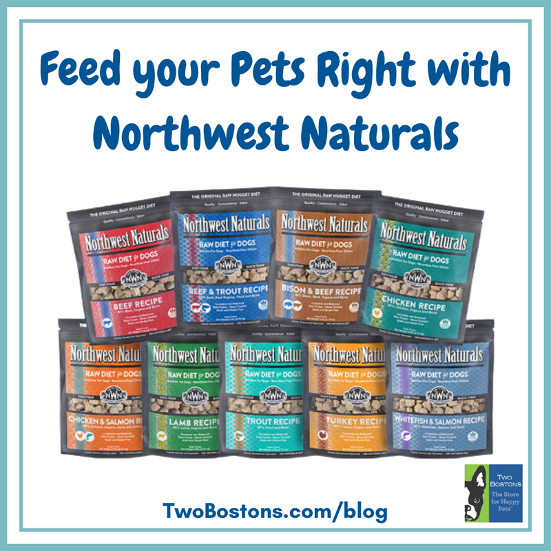 Northwest naturals dog sales food