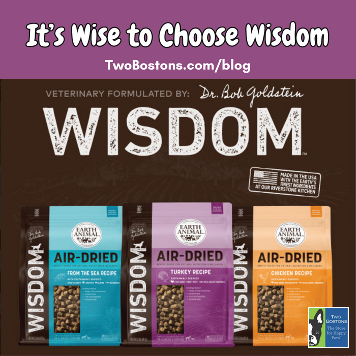 It's Wise to Choose Wisdom
