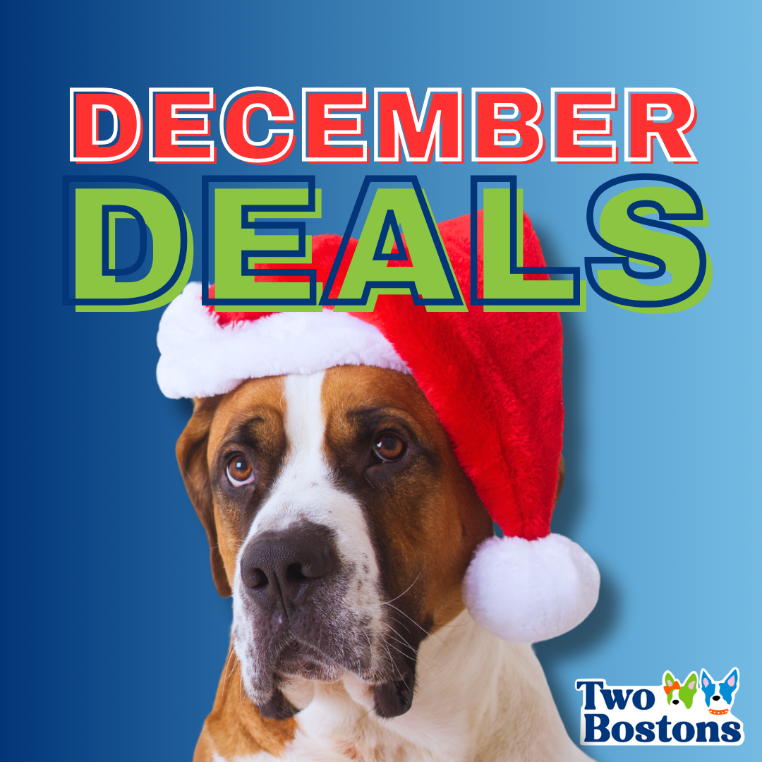 December Deals