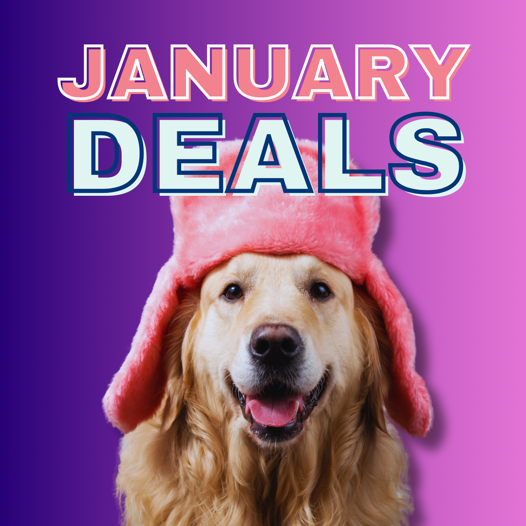 January Deals - Two Bostons