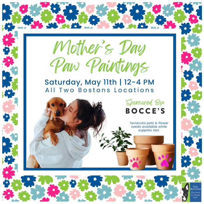 Mother’s Day Paw Paintings