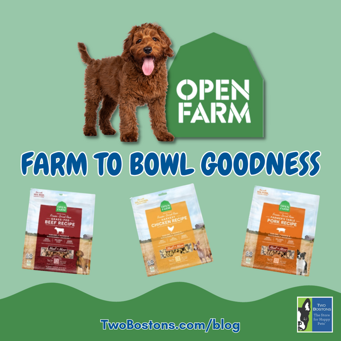 Open Farm: Farm to Bowl Goodness