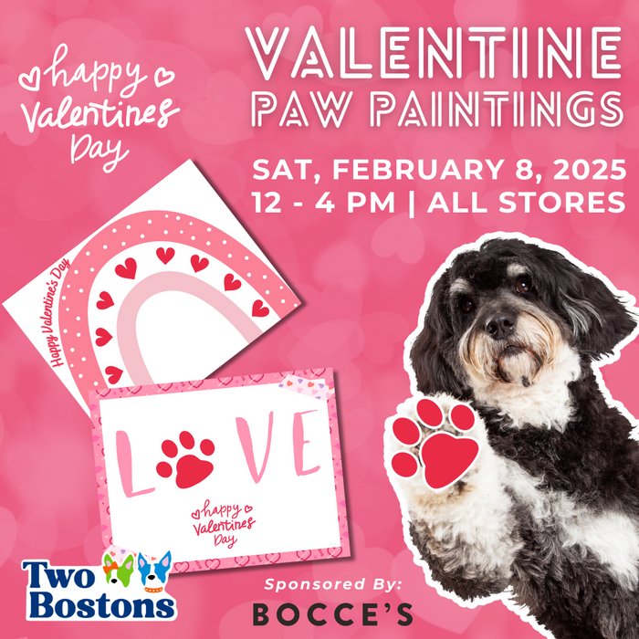 Valentine Paw Paintings