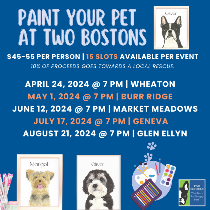 Paint Your Pet At Two Bostons: Featuring Princess Kate