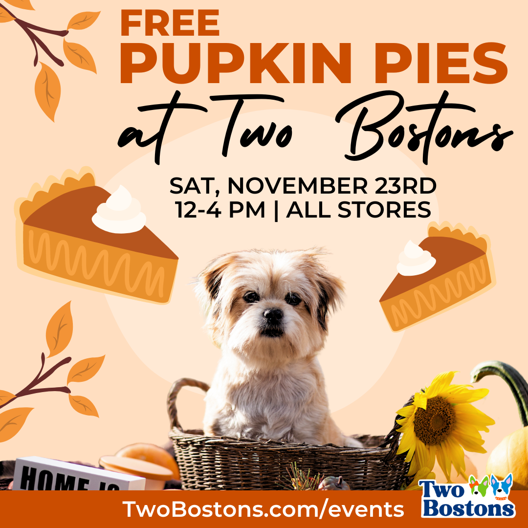 Pupkin Pies