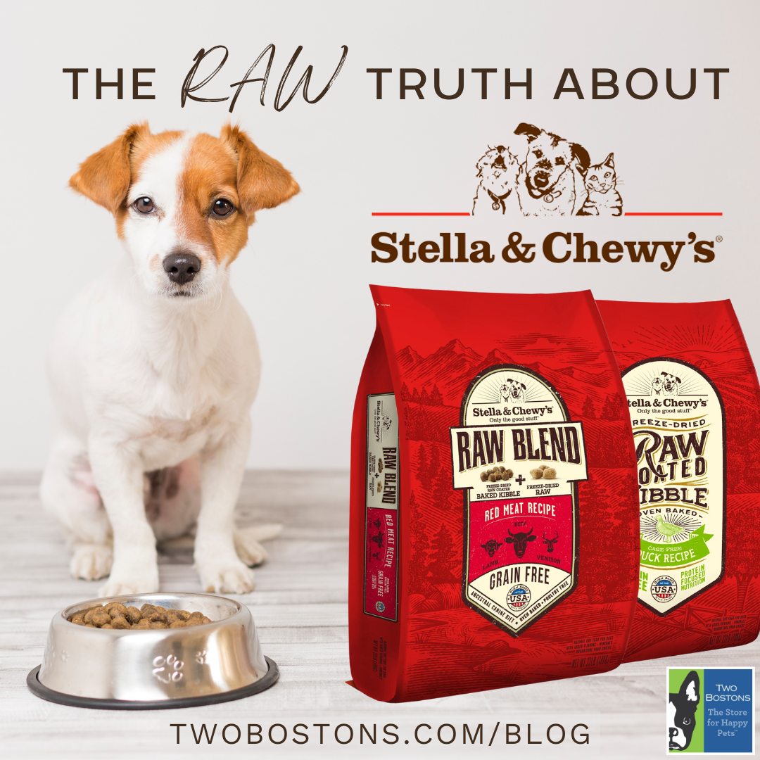 The Raw Truth About Stella & Chewy's