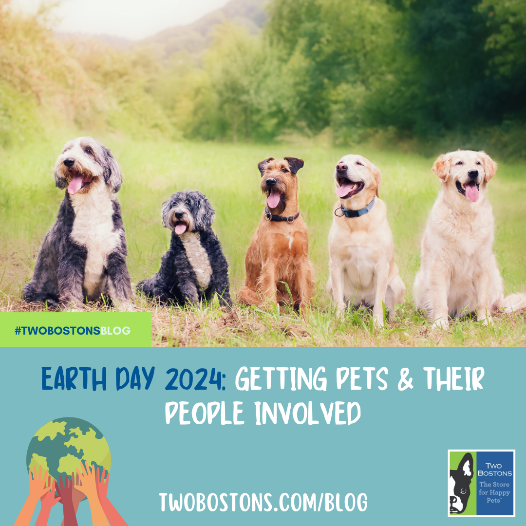 Earth Day 2024: Getting Pets And Their People Involved — Two Bostons