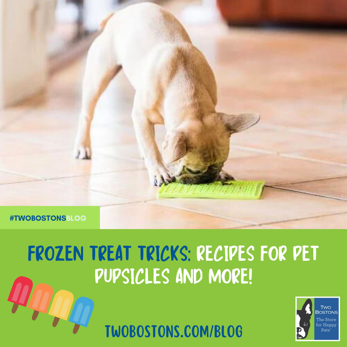 Frozen Treat Tricks: Recipes for Pet Pupsicles and More!