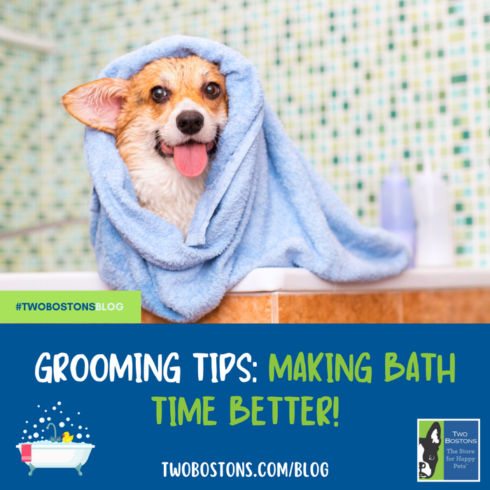 Grooming Tips: Making Bath Time Better!