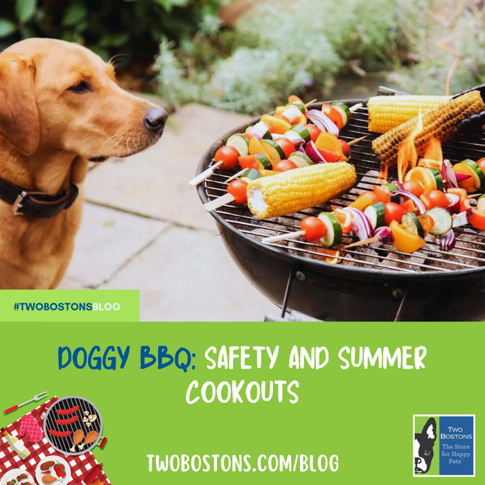Doggy BBQ: Safety and Summer Cookouts
