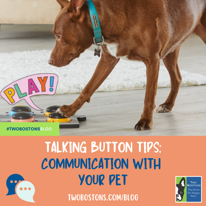 Talking Button Tips: Communication with Your Pet!