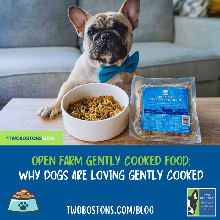 Open Farm Gently Cooked Food: Why Dogs Are Loving Gently Cooked