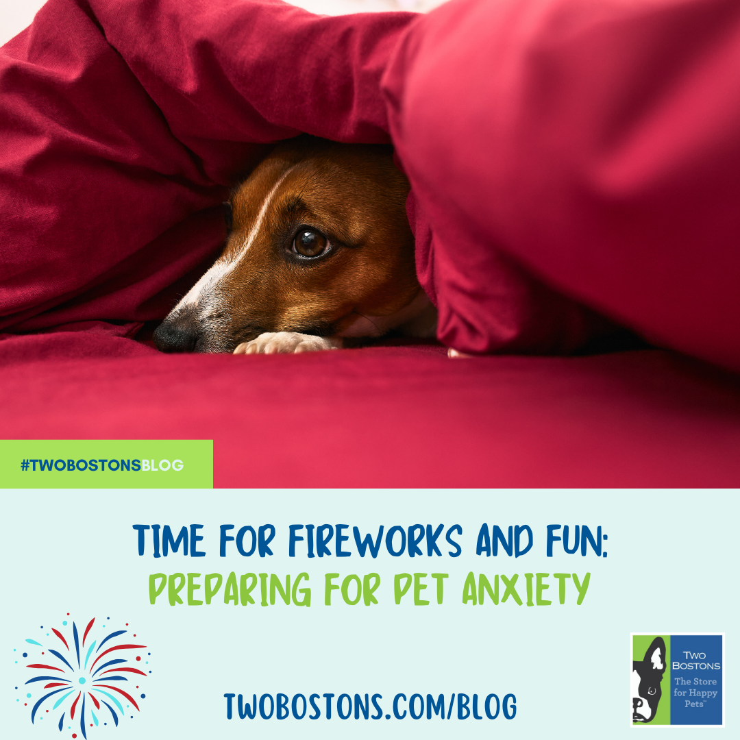 Time For Fireworks and Fun: Preparing for Pet Anxiety
