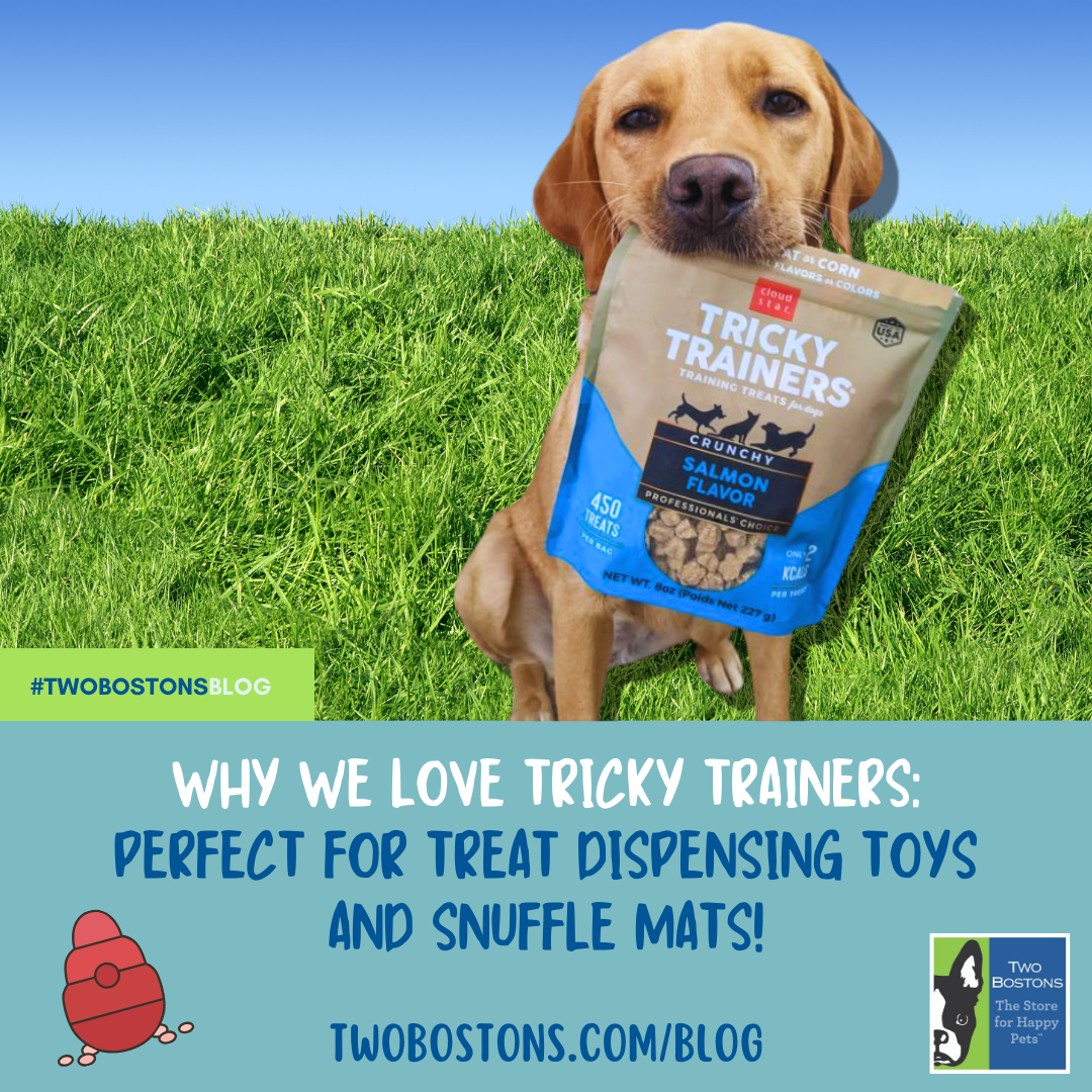 Why We Love Tricky Trainers: Perfect for Treat Dispensing Toys and Snuffle mats!