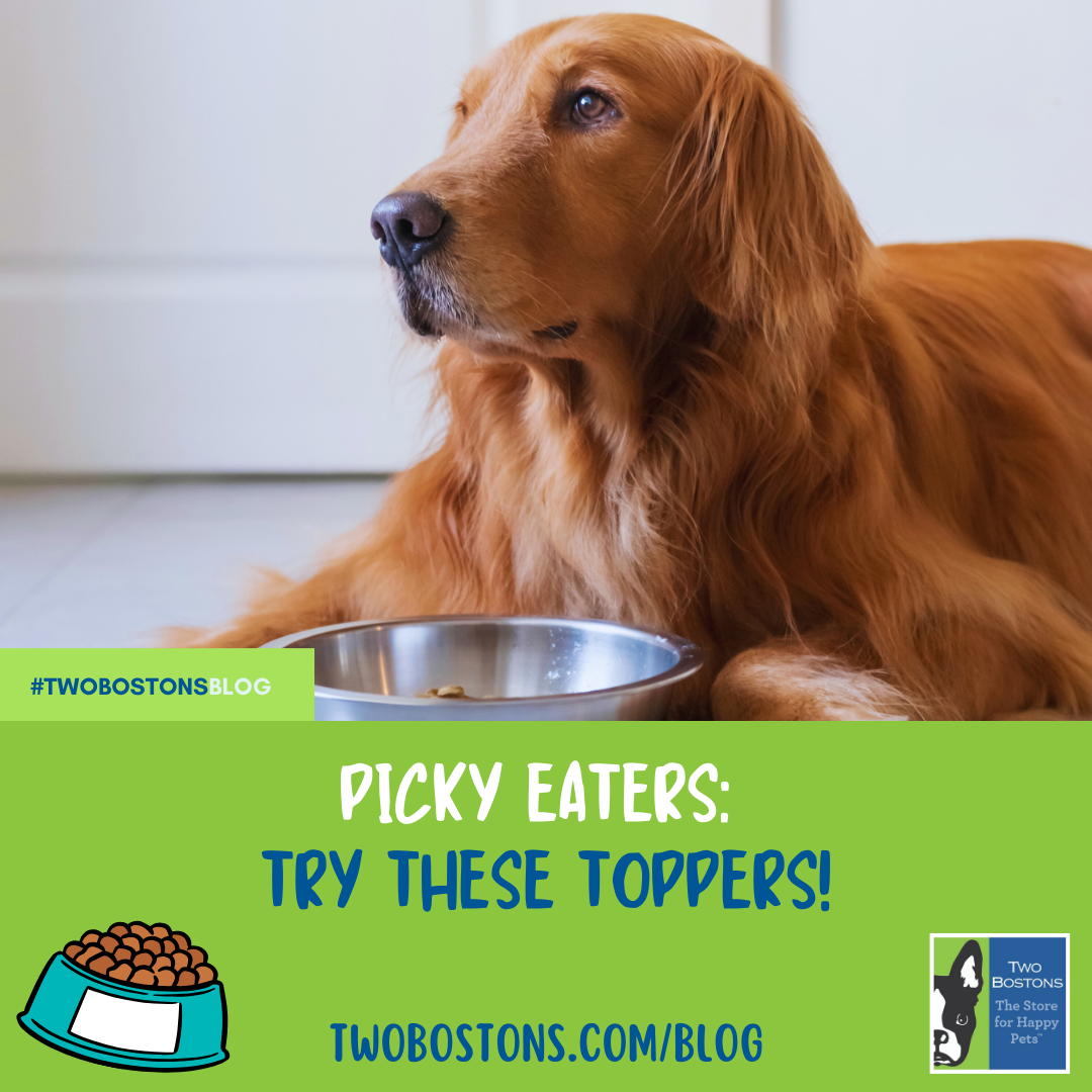 Picky Eaters: Try These Toppers!
