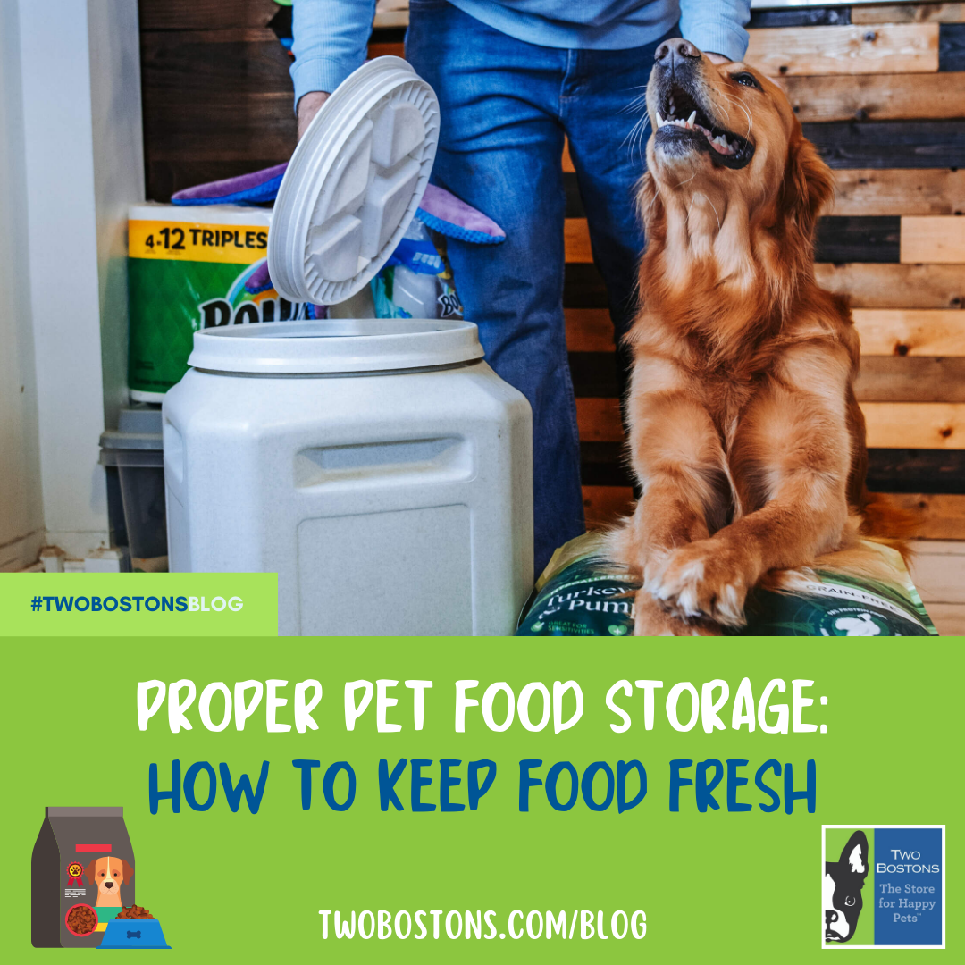 Proper Pet Food Storage How To Keep Food Fresh Two Bostons