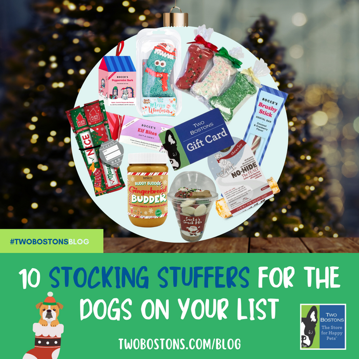 10 Stocking Stuffers For the Dogs On Your Holiday List