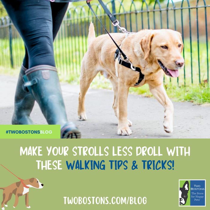 Walking Tips: Make Your Strolls Less Droll With These Tips and Tricks!