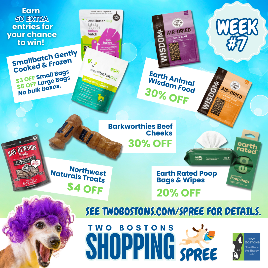 Shopping Spree Week 7