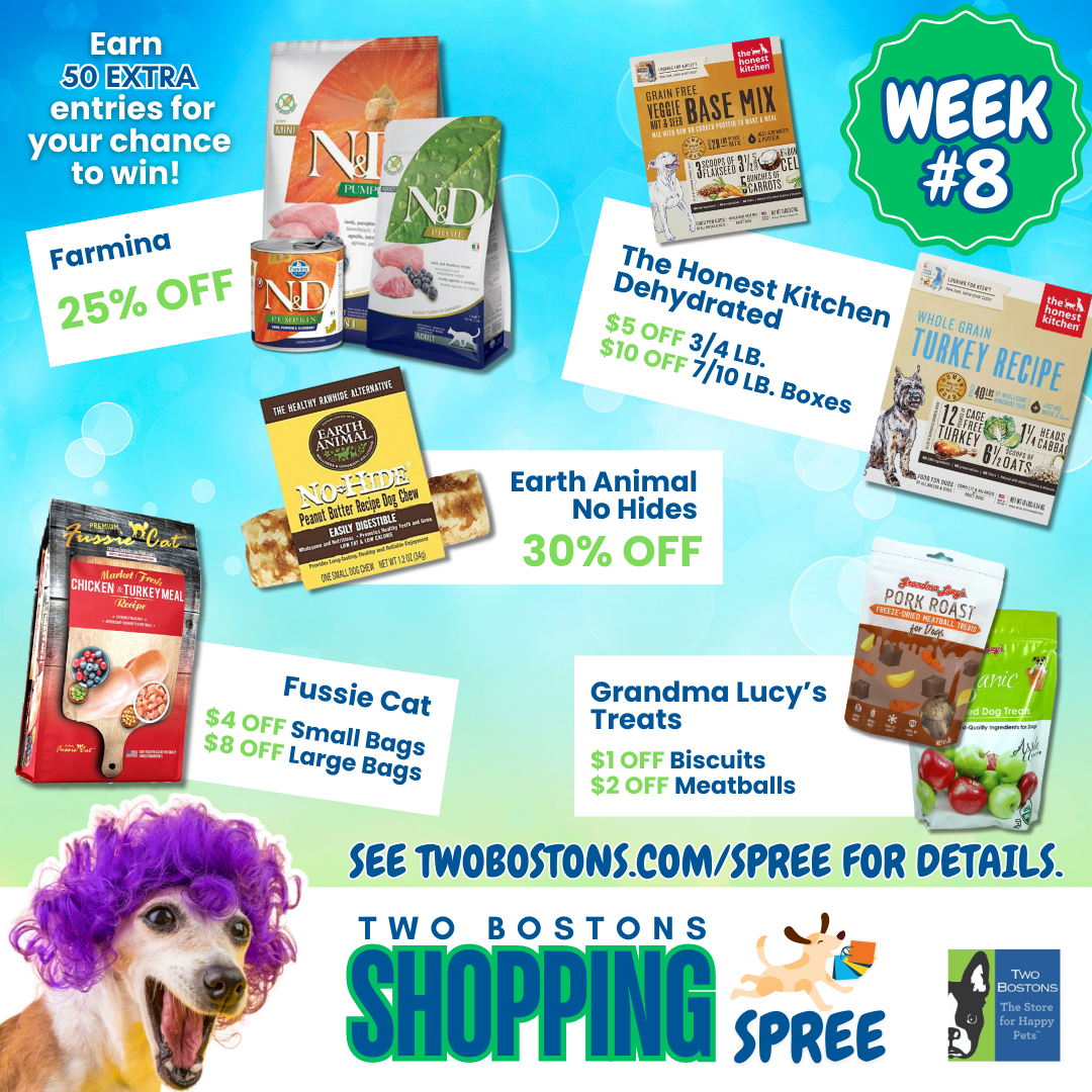 Shopping Spree Week 8