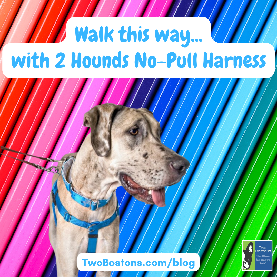 Walk This Way...with 2 Hounds No-Pull Harness