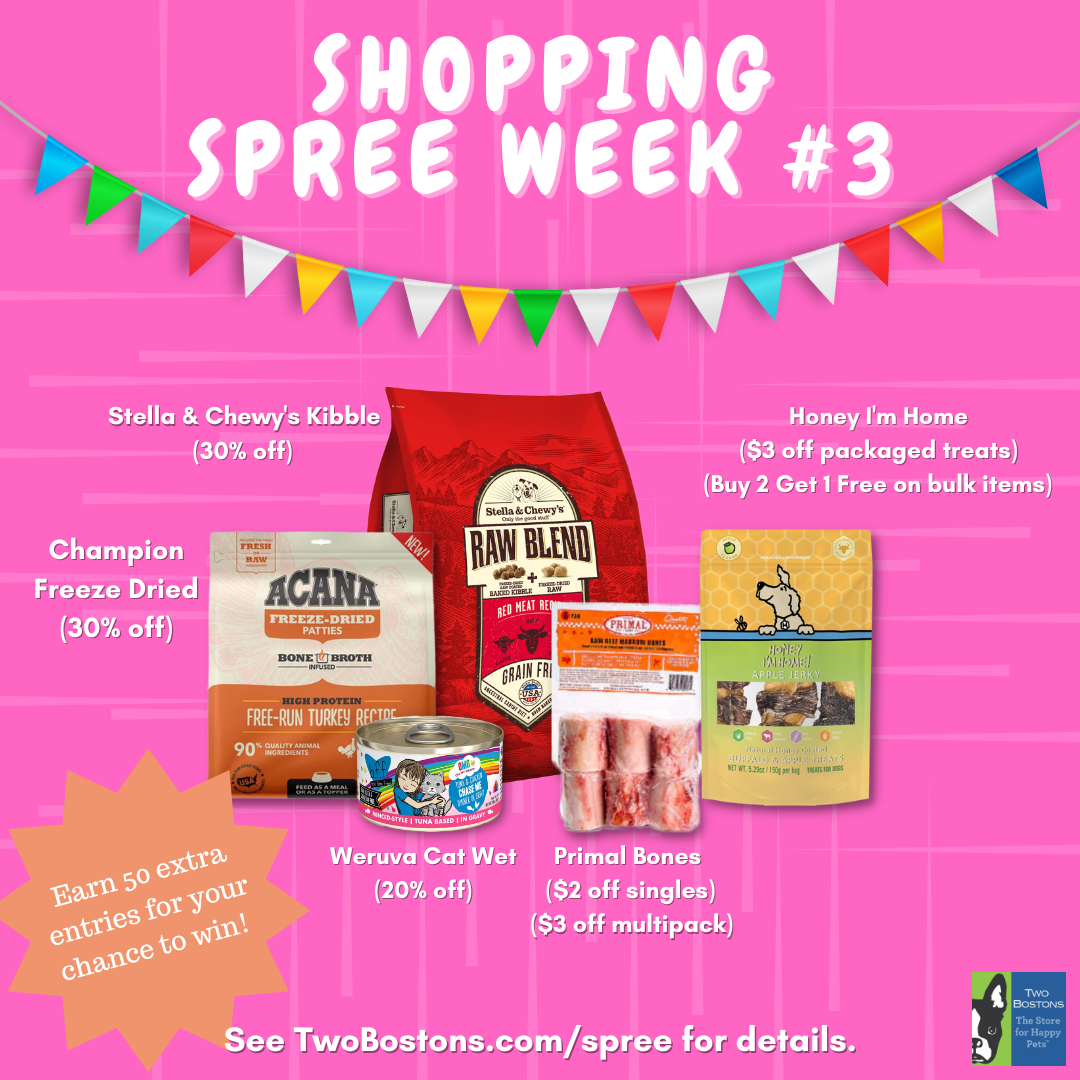 Shopping Spree - Week #3