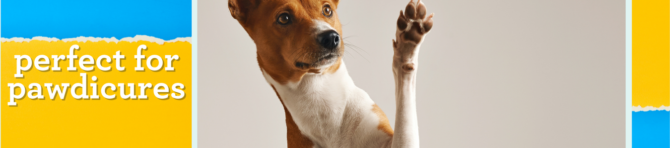 Polishing Up On Animal Nail Care - Pet Talk | VMBS News